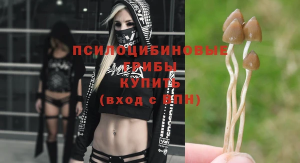 дурь Козловка