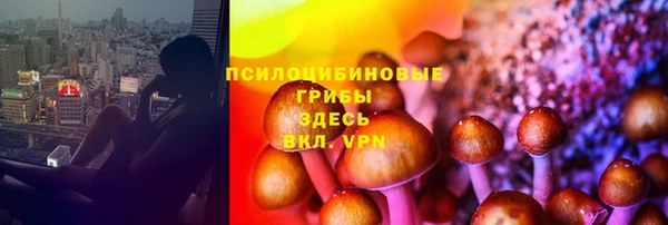 mdpv Кодинск