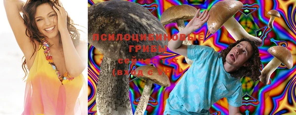спиды Корсаков