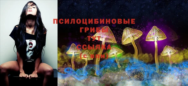 дурь Козловка