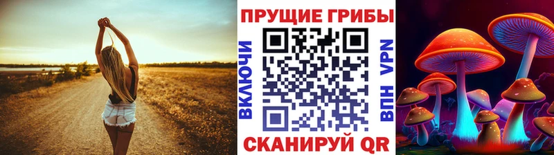 Псилоцибиновые грибы Cubensis Купить где Сретенск