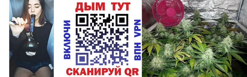 Конопля SATIVA & INDICA  Купить где  Сретенск 